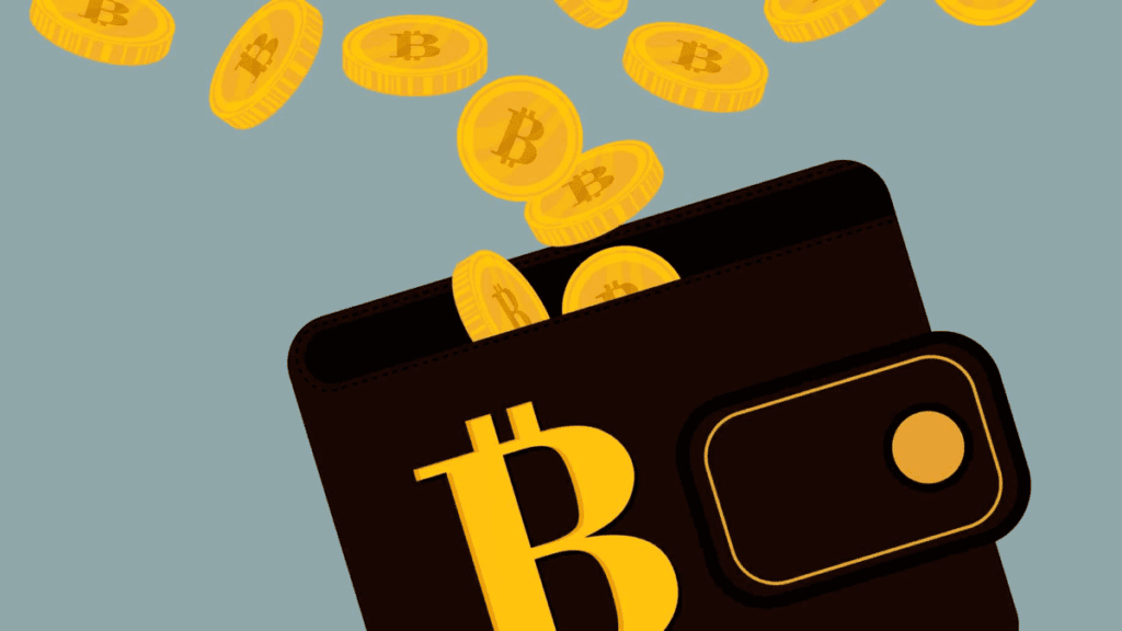 The 6 best Bitcoin wallet: Guide