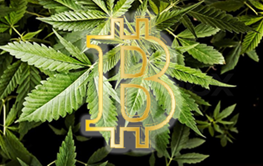 blockchain cannabis