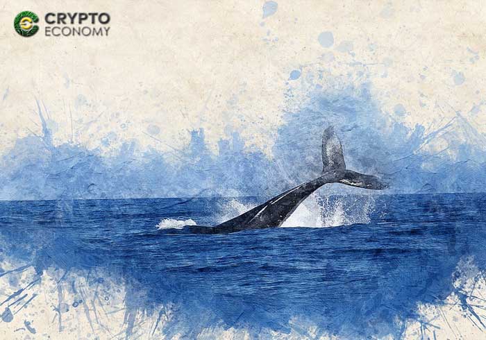 bitcoin ballena whale
