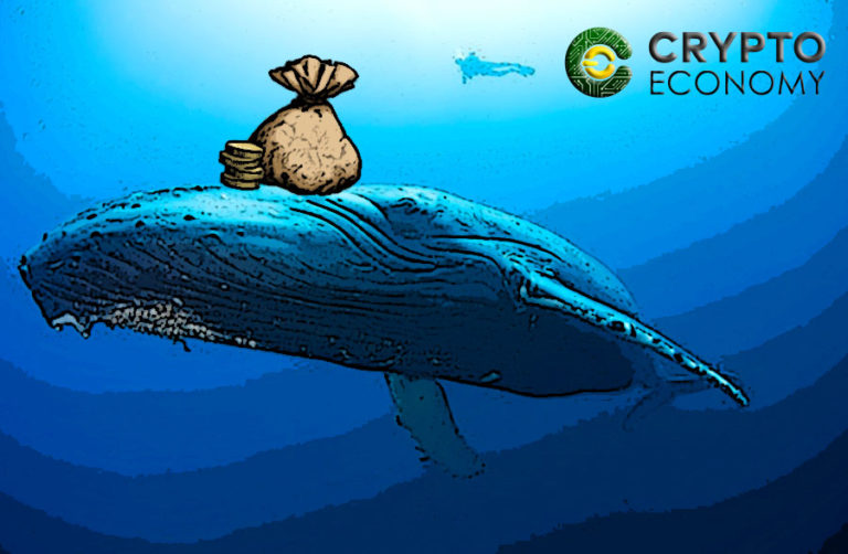rich whales Bitcoin