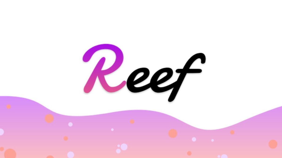 Alameda Research Invests $20M Into Polkadot-based DeFi Project REEF Finance