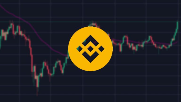 BNB Slips 30% from April Highs, Resistance at $260
