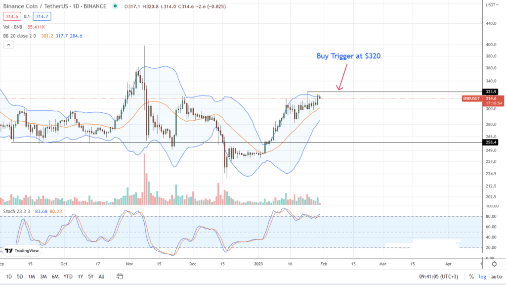 BNB daily chart for January 30