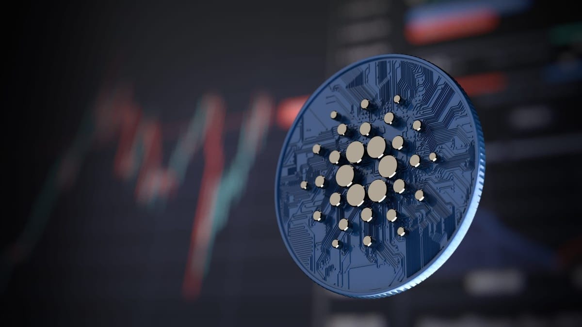 Cryptocurrencies rise again Solana (SOL) and Cardano (ADA) lead within the TOP-10 - Crypto Economy