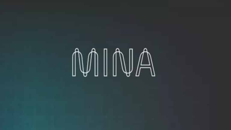 Mina protocol