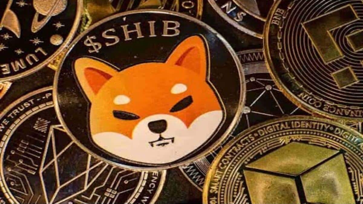 Shiba Inu (SHIB) is up 14% in a single day. Here's why