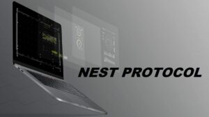 NEST Protocol Aims to Provide Accurate Price Prediction for DeFi
