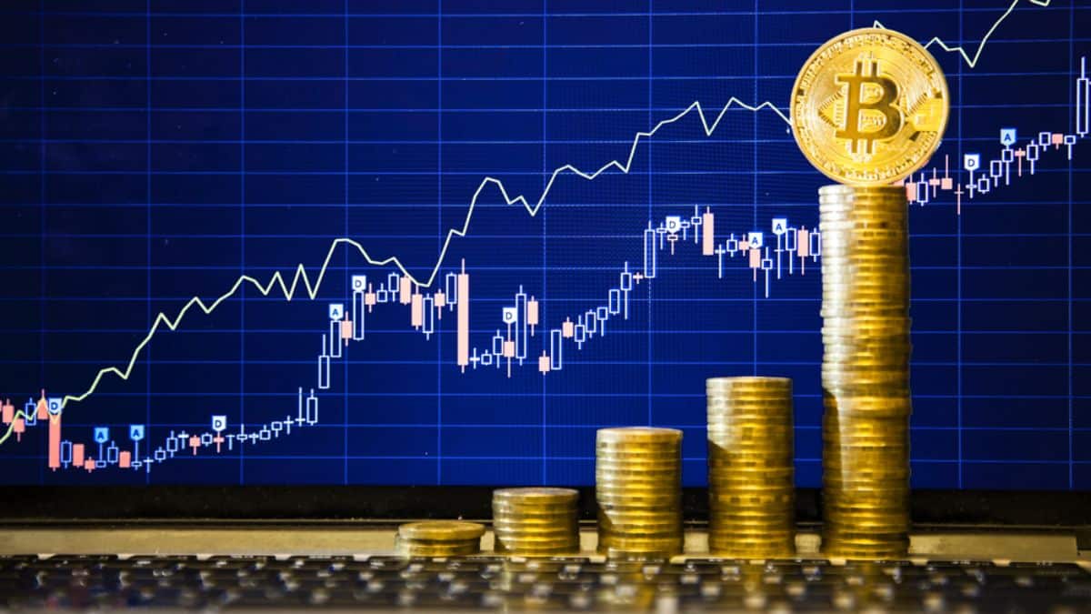 Will Bitcoin Bears Take Charge and Force BTC to go below $23.5k?