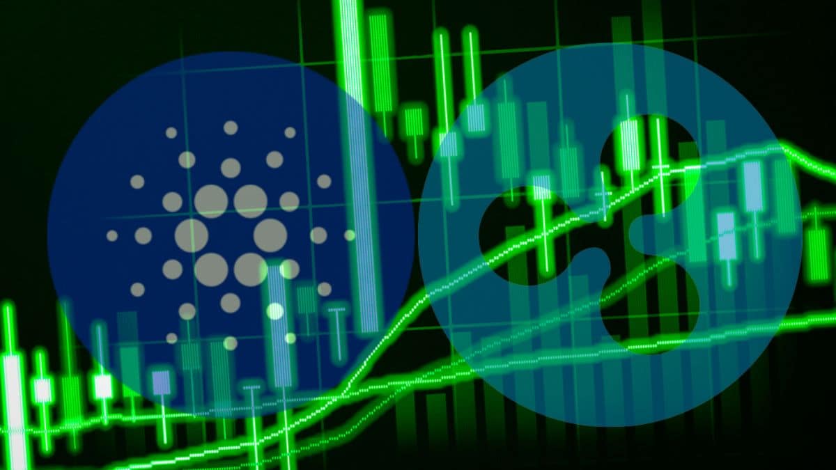 Cryptocurrency market on fire: Cardano and Ripple lead the way - Crypto Economy