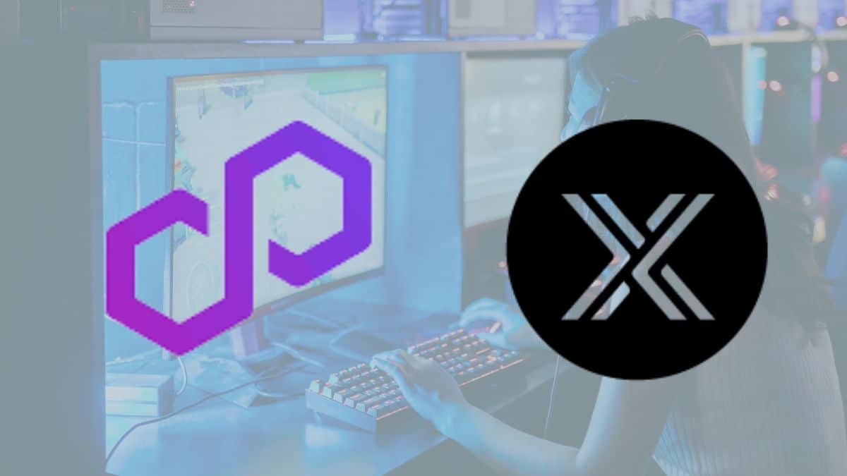 Polygon Labs x Immutable Partner