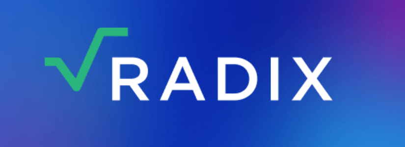 Radix Outlines the Functions of "Native Assets" on its Network