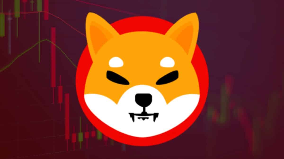 Binance Moves Shiba Inu (SHIB) Out of Innovation Zone: What Does This Mean?