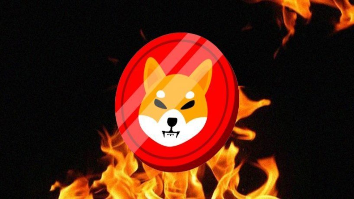 Shiba Inu Burn Rate Soars Past 1,000%