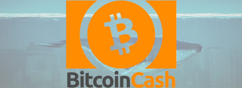 Bitcoin Cash (BCH) in Numbers