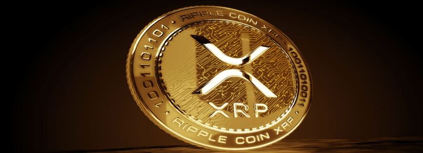 PRo Ripple Attorney Claims SEC Lawsuit Damaged XRP Adoption in US