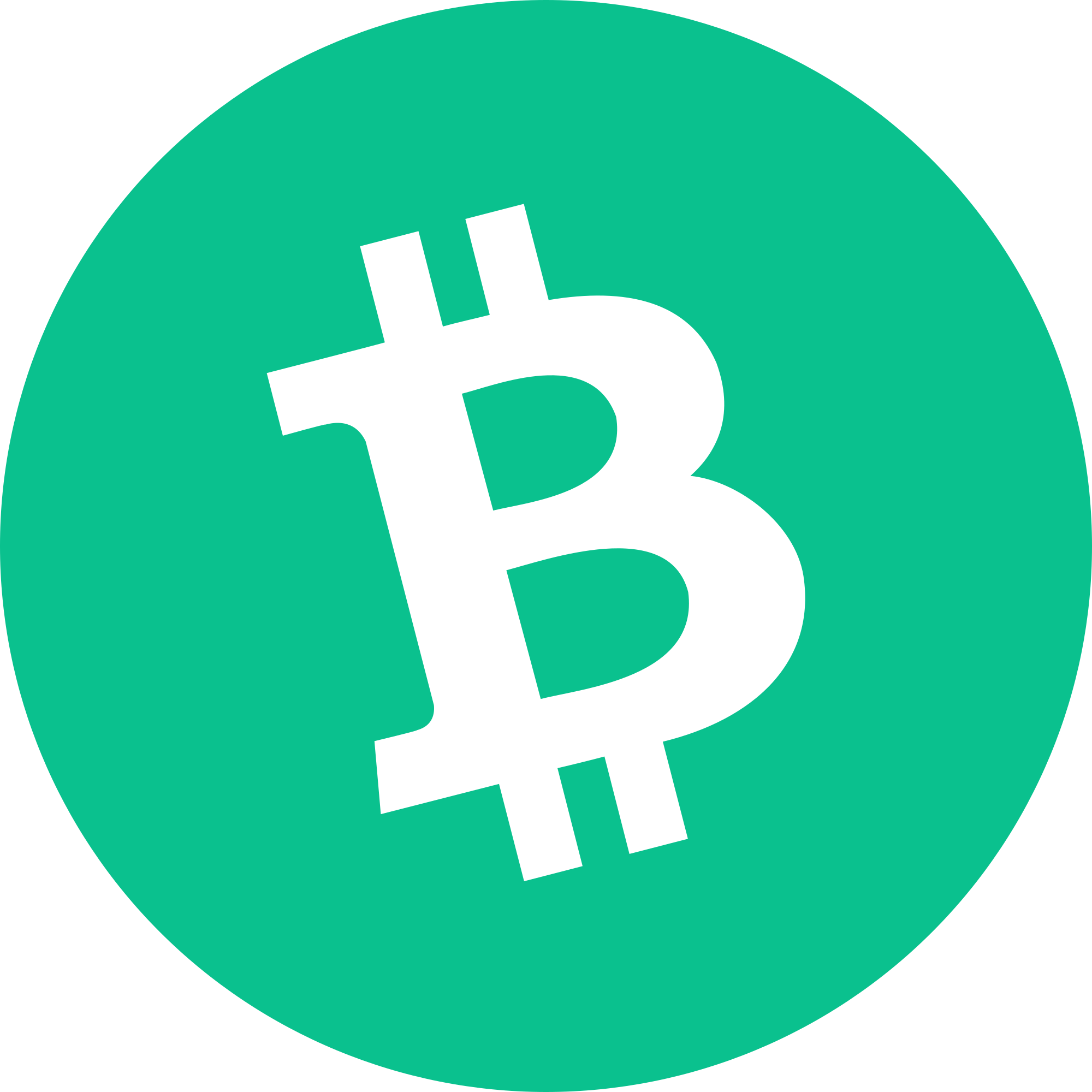 bitcoin-cash-bch-logo