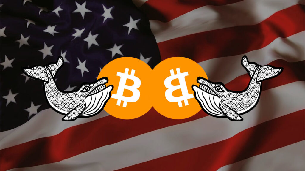 US Government Is One of the Largest Bitcoin Whales, Report Says