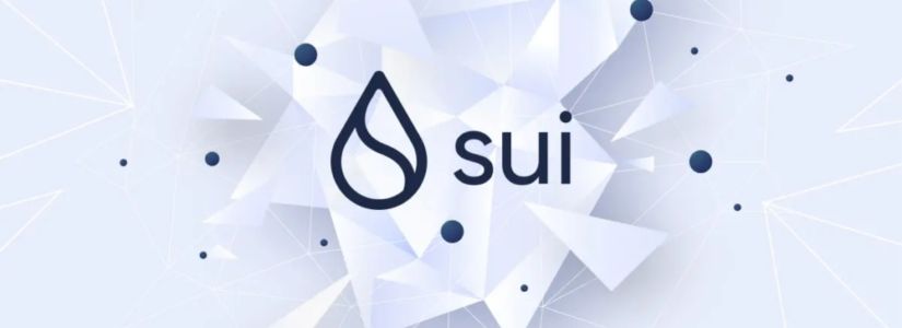 The SUI Foundation Reallocates SUI Tokens