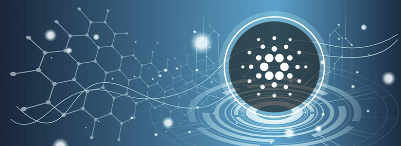 Cardano's ADA Attracts Over $600 Million in Investments from Whales
