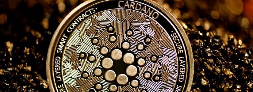 cardano kraken