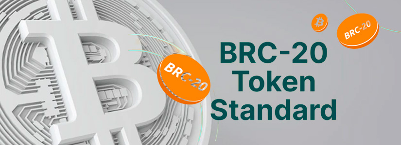 wallets to hold BRC-20 Tokens