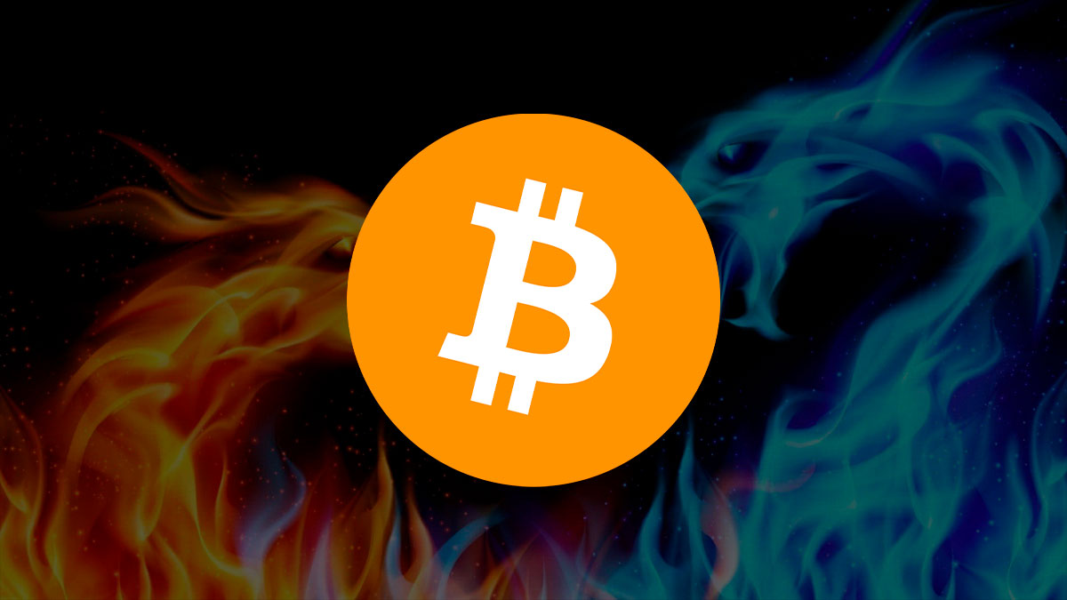 Who are the Main Defenders and Detractors of Bitcoin Today?