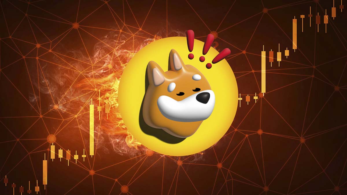 Coinbase Announces Support for Bonk (BONK) on Solana: Incredible Increase in Value and Adoption