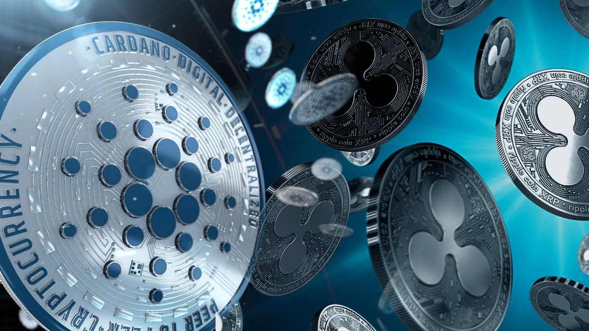 A Connection Between Cardano and Ripple Makes No Sense, Says Charles Hoskinson - Crypto Economy