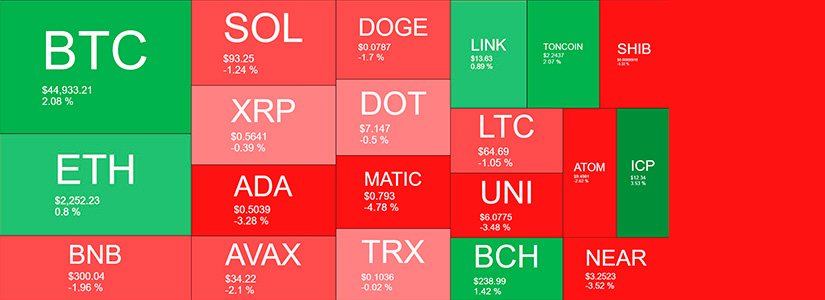 Altcoins Are in the Red. But Stacks (STX) Soars