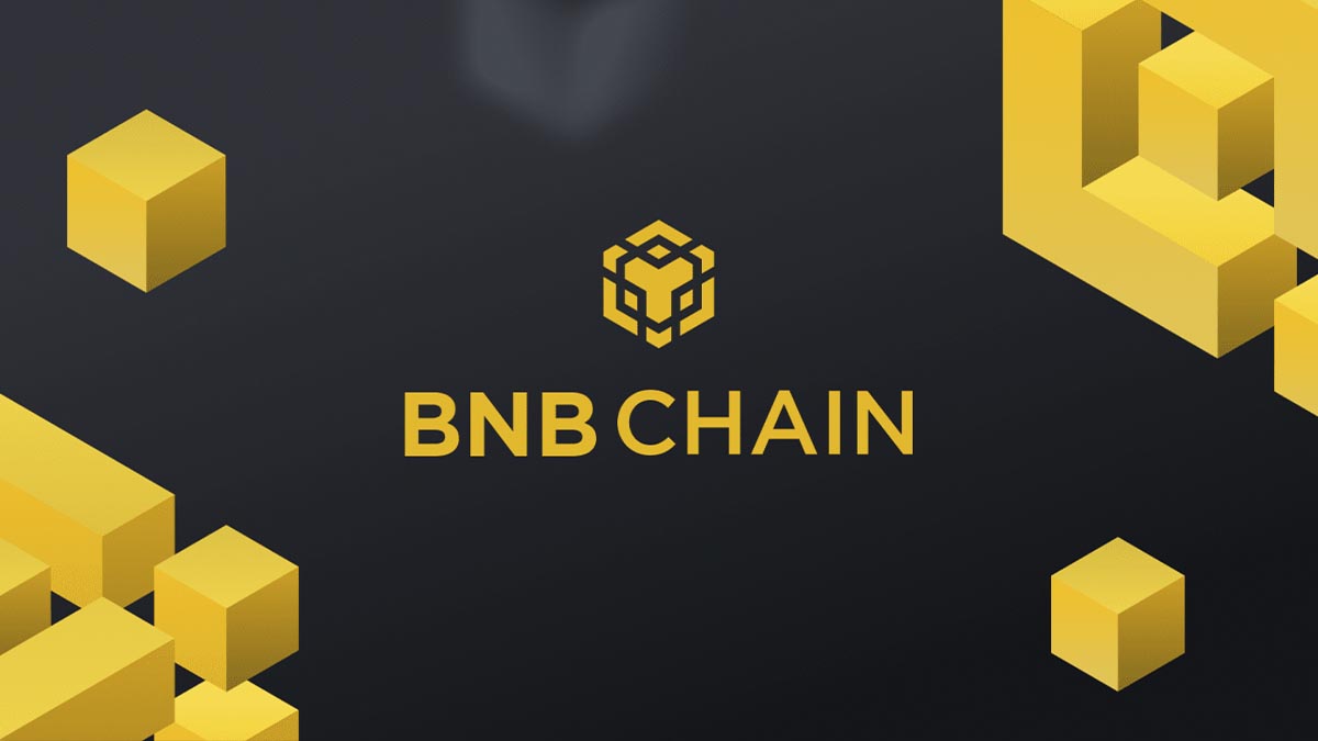 BNB Beacon Chain Fusion: Unveiling Six-Month Plan for Strategic Evolution