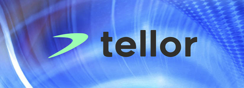 Following TRB Crash, Trellor Team Accused of Price Manipulation