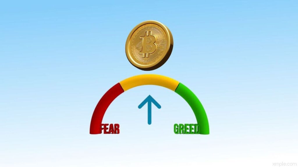 bitcoin fear greed
