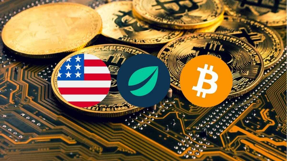 government bitfinex bitcoin