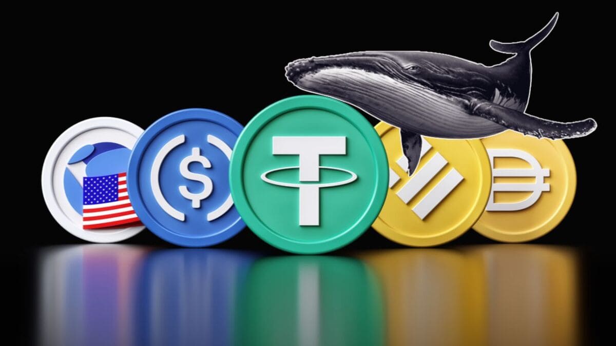 whales stablecoin