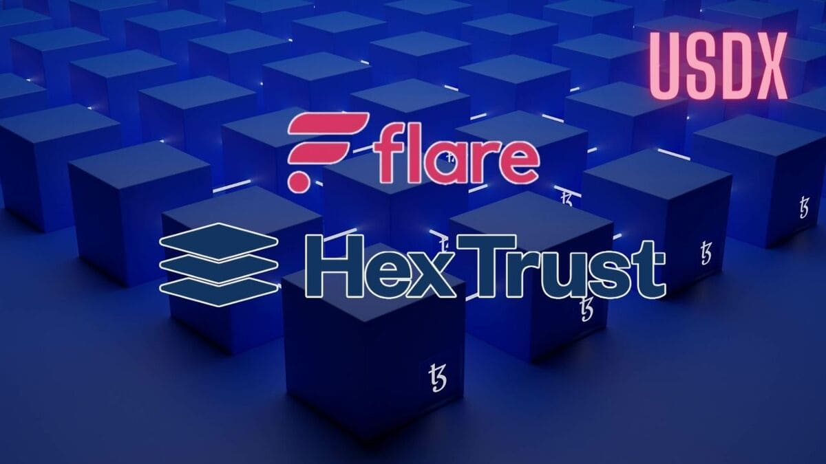 usdx flare hex trust