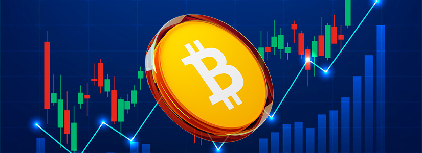 Bitcoin ETFs See Major Institutional Interest as 66% Hold or Buy More in Q2