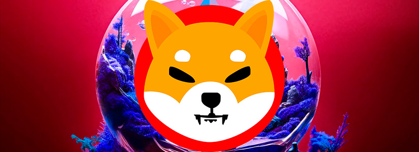 Shiba Inu Team Announces Official Launch Date for Shibarium Liquid Staking