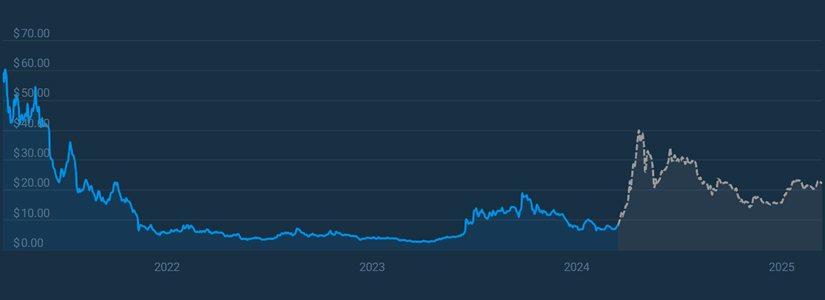 Internet Computer Protocol (ICP) Price Performance for Q4 2024