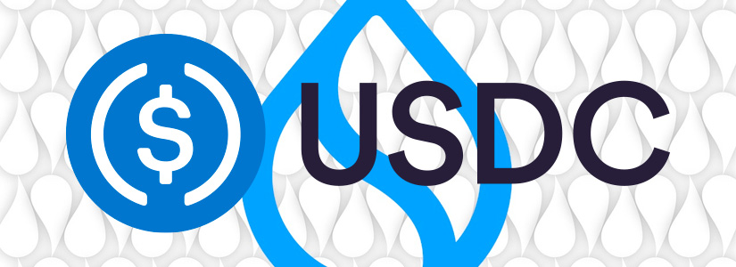 Circle CEO Confirms USDC’s Arrival on Sui Network—Here’s What You Need to Know