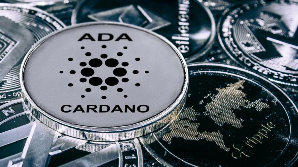 Cardano Price Rises as Whale Holdings Exceed $12B: What It Means