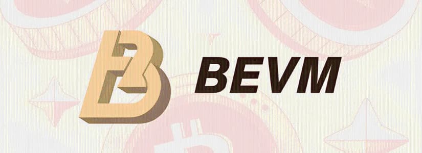 What advantages does the BEVM Network have over its competitors?