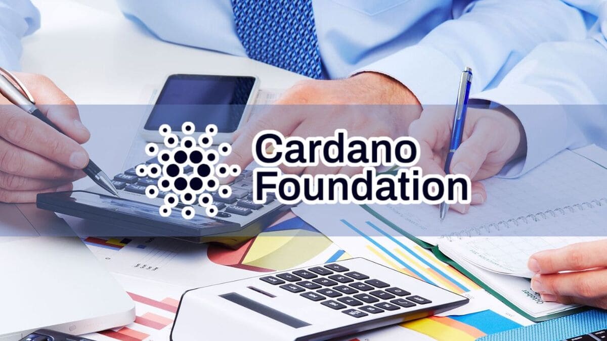 New Cardano Financial Insights Report Breaks Down Key Areas of Spending and Impact - Crypto Economy