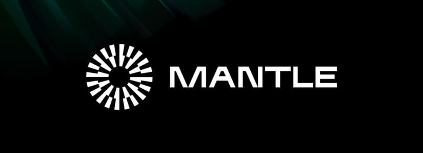 What is Mantle Network?