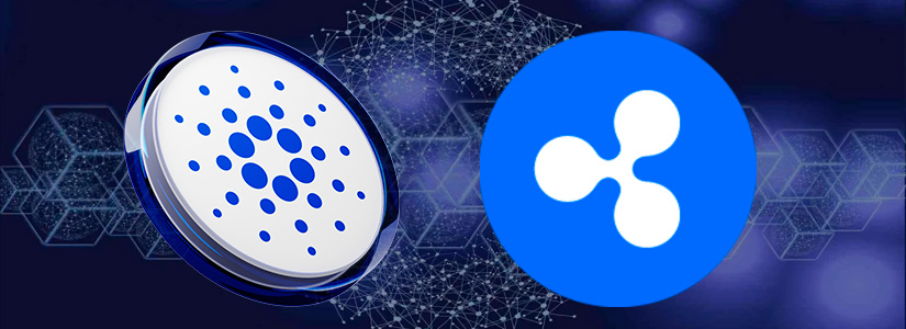 Cardano Founder Confirms Discussions with Ripple on RLUSD Integration