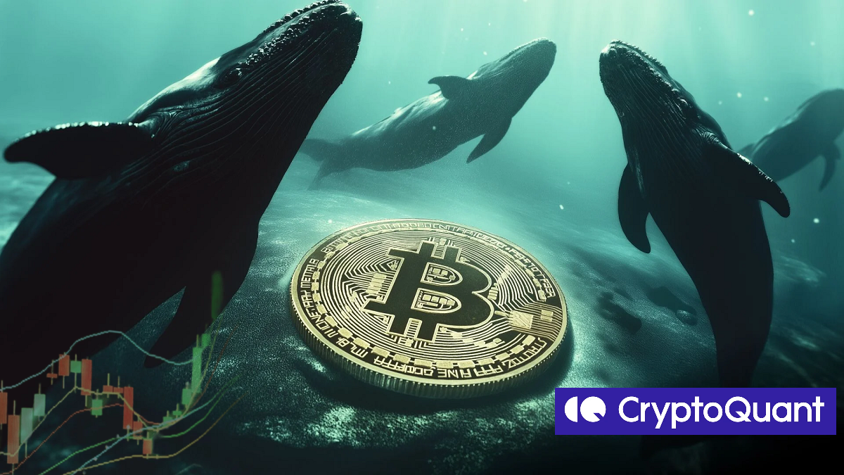 Bitcoin Whale Activity May Signal Trend Shift— What’s Next for BTC?