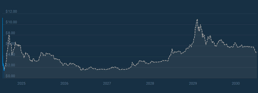 2025 Price Forecasts