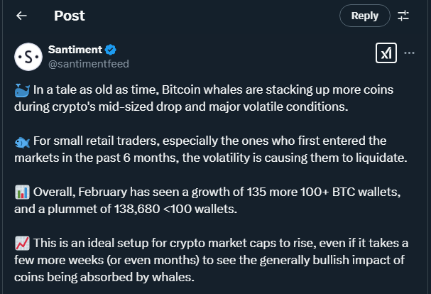 BTC Accumulation Signals Strong Support, but Market Awaits Key Breakout