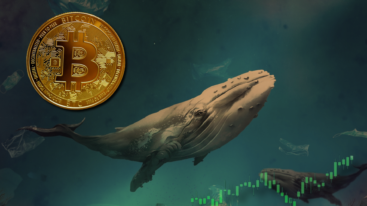 Whale's $400M Bitcoin Short Shakes the Market—Will a Short Squeeze Send BTC Soaring?