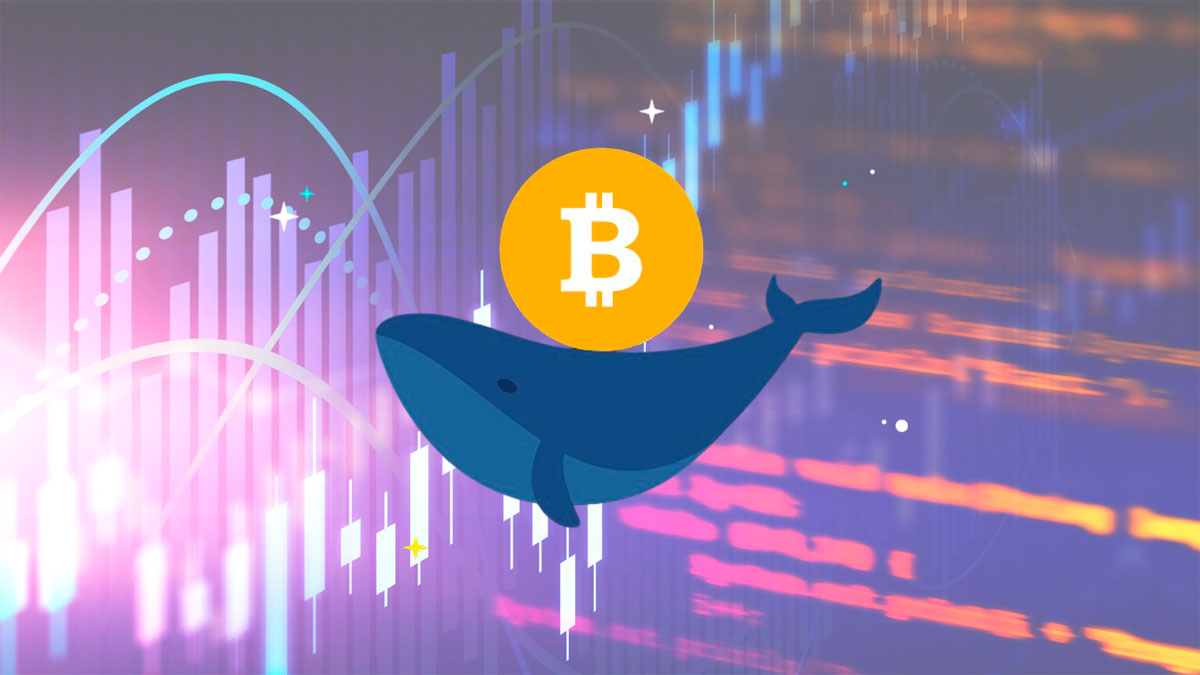 Bitcoin Whales Reappear? $4M Deal Signals a Potential Revival