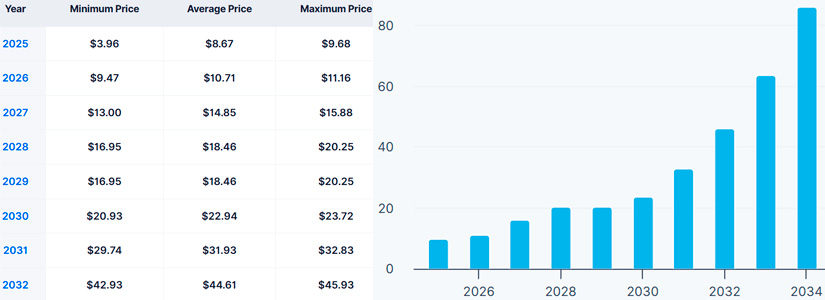 What 2029 May Have in Store for Render's Price